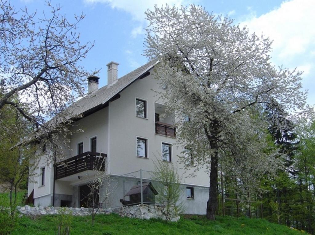 Apartments Pri Marjetki Cerkno Eksteriør billede