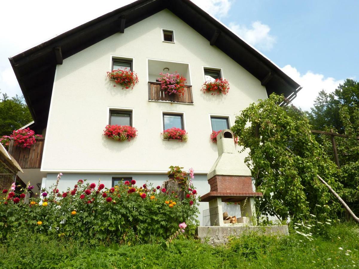 Apartments Pri Marjetki Cerkno Eksteriør billede
